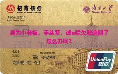 诚e赊无力还款怎么办