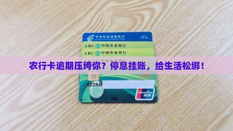 农业银行信用卡逾期停息挂账