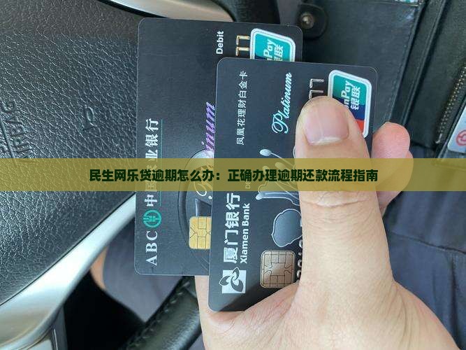 民生网乐贷逾期怎么办