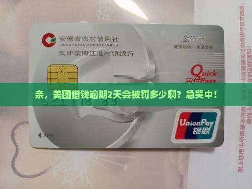 美团借钱逾期2天会怎么样处理