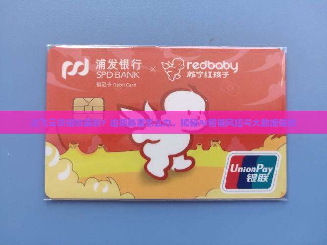 达飞云贷催收最新