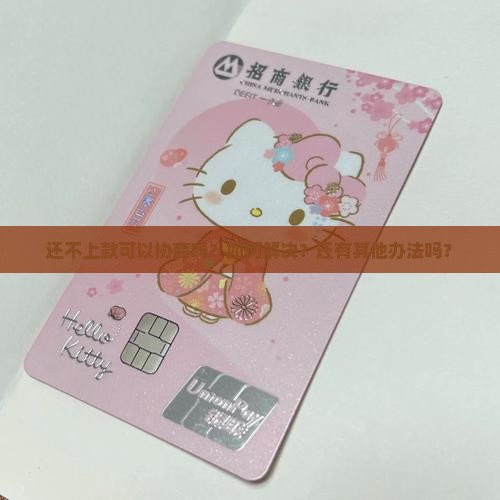 还不上可以协商嘛怎么解决