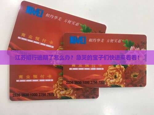 江苏招商银行逾期如何协商解决