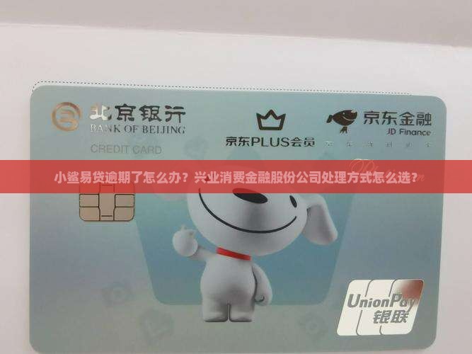 小鲨易贷逾期了怎么办处理方式