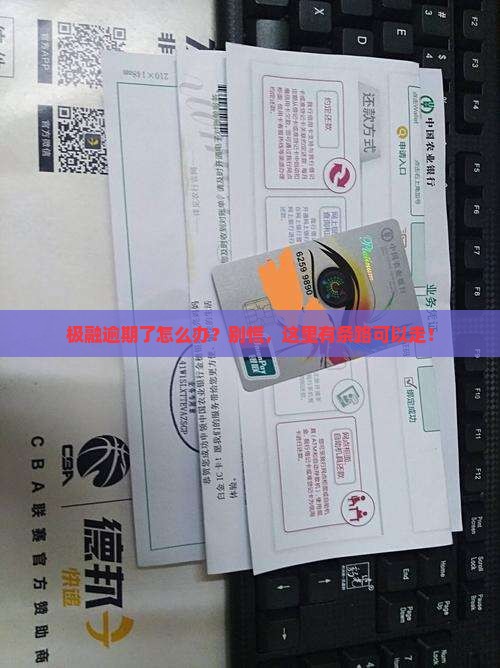 极融还不上了怎么办抓紧时间找解决方法