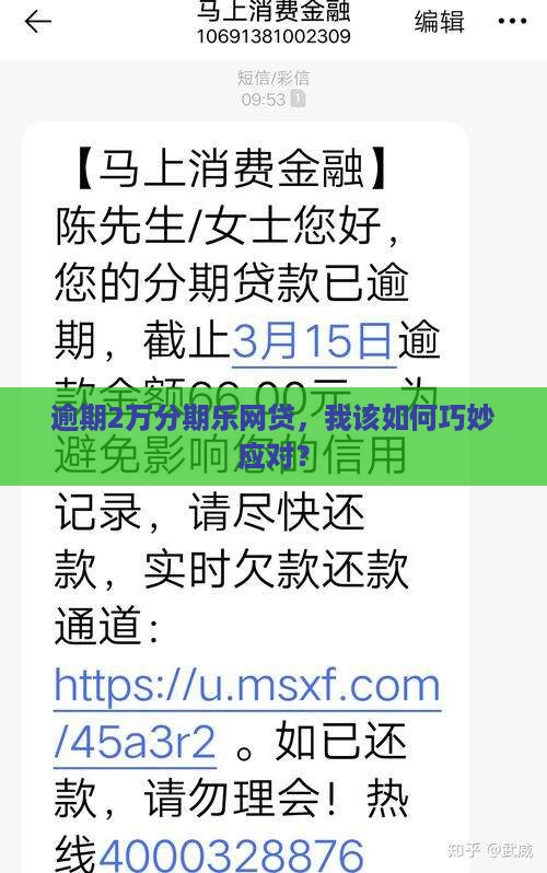 分期乐网贷逾期2万怎么办应对策略