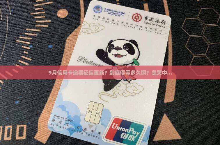 9月份信用卡逾期征信更新时间是多久
