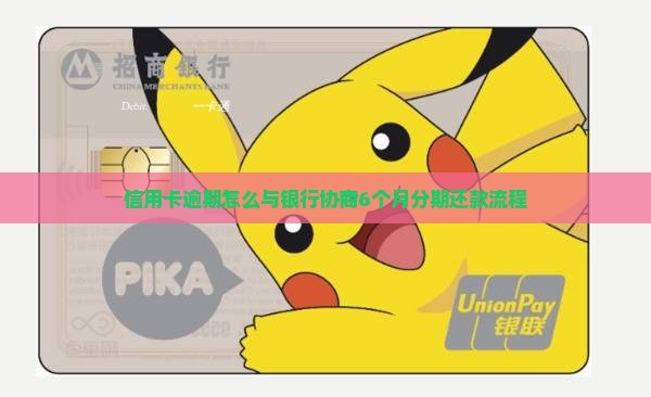信用卡逾期6个月协商分期流程