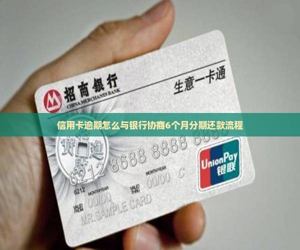 信用卡逾期6个月协商分期流程