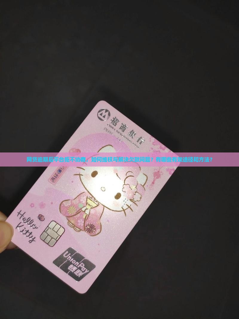 网贷逾期平台不协商怎么办才好