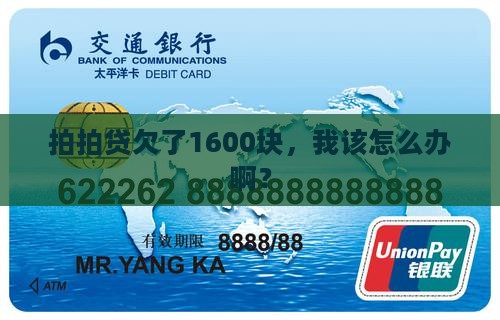 拍拍贷欠款1600怎么办