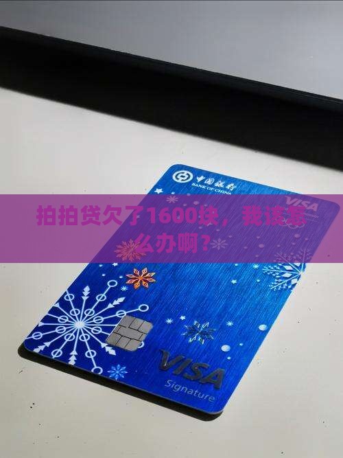拍拍贷欠款1600怎么办
