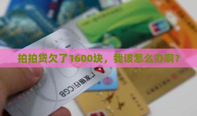 拍拍贷欠款1600怎么办