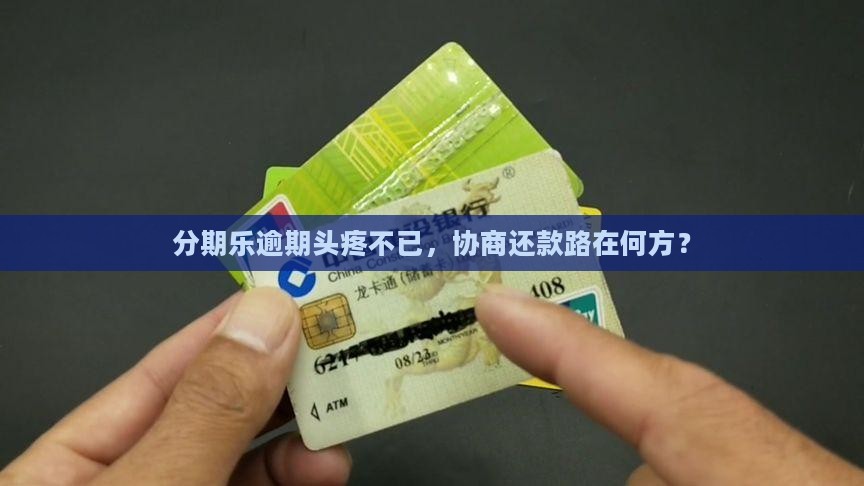 分期乐还不起怎么协商处理