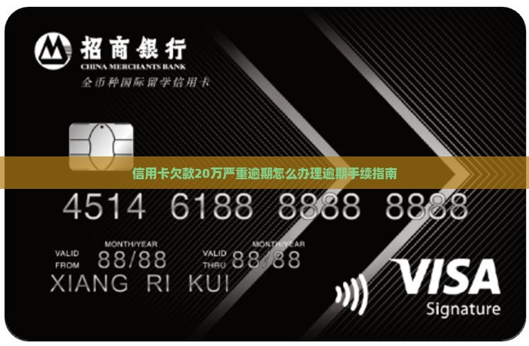 信用卡欠款20万严重逾期怎么办