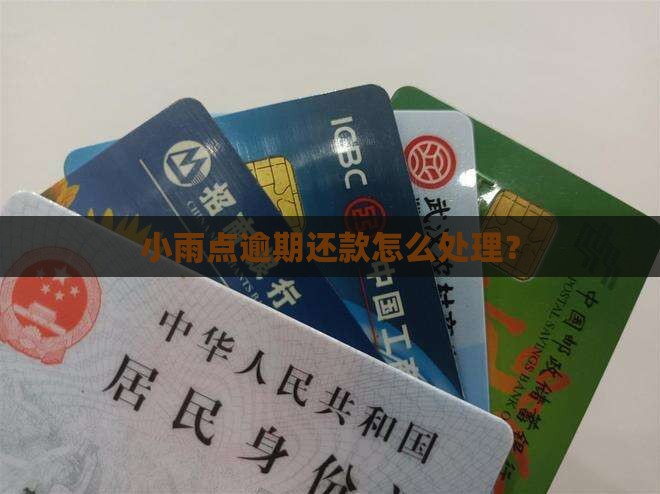 小雨点网贷逾期怎么处理