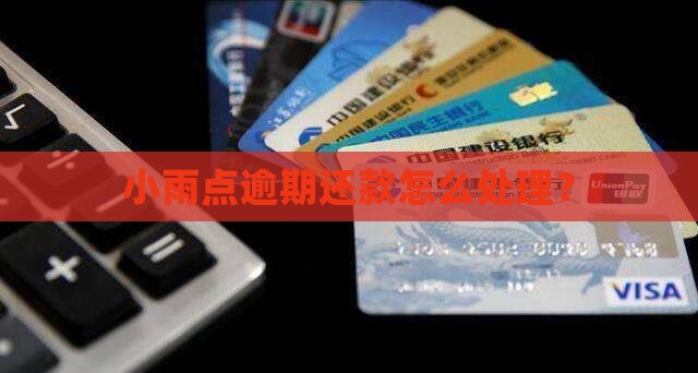 小雨点网贷逾期怎么处理