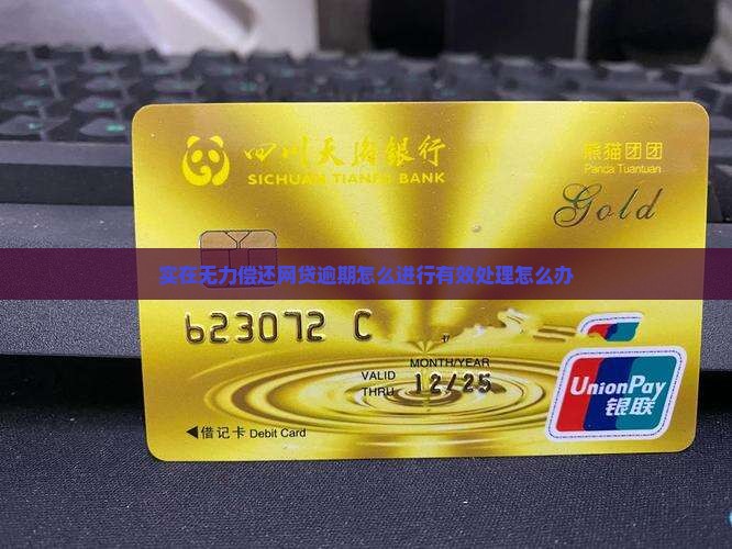 欠网贷实在无力偿还怎么办进行有效处理