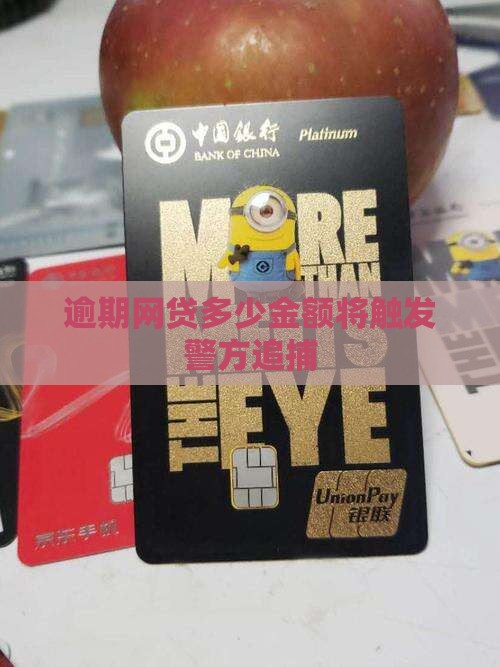 网贷逾期多少金额会被通缉