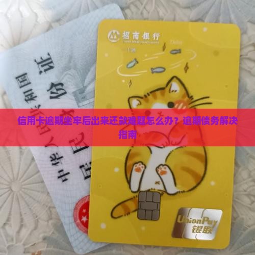 信用卡逾期坐牢出来还不上怎么办