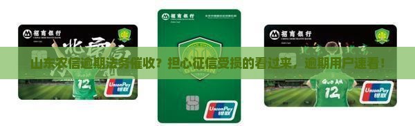 山东农信逾期法务催收