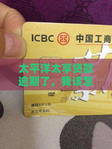 太平洋太享贷款逾期怎么办