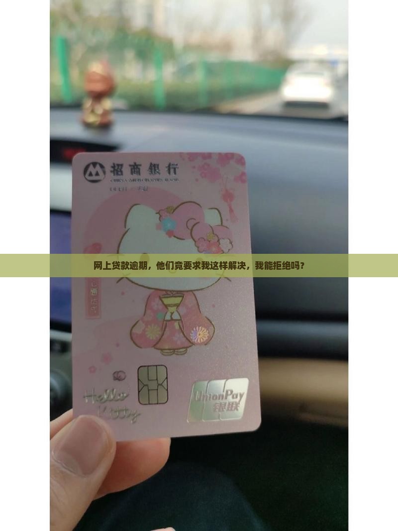 网贷逾期要求我网上调解