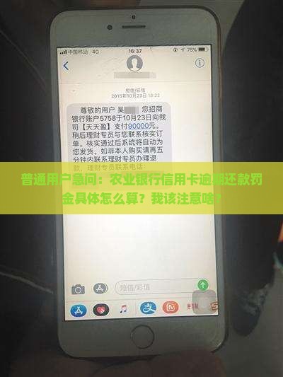 农业银行逾期还款罚金标准是多少