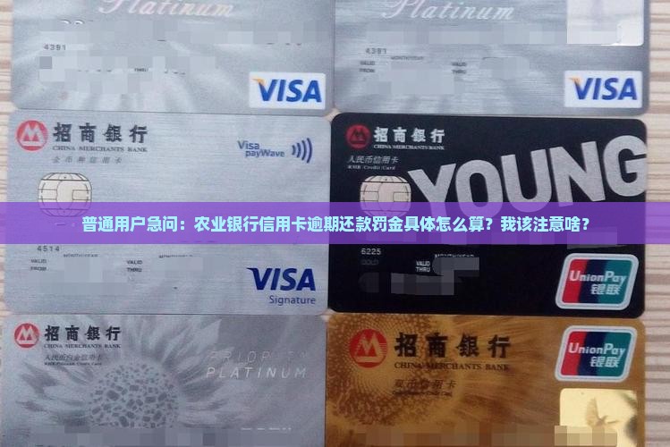 农业银行逾期还款罚金标准是多少