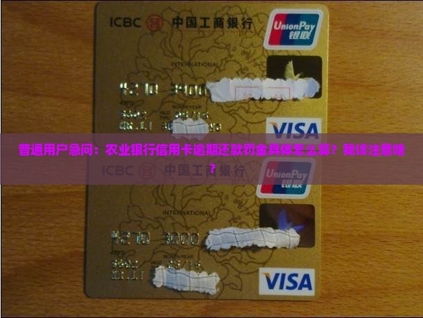 农业银行逾期还款罚金标准是多少