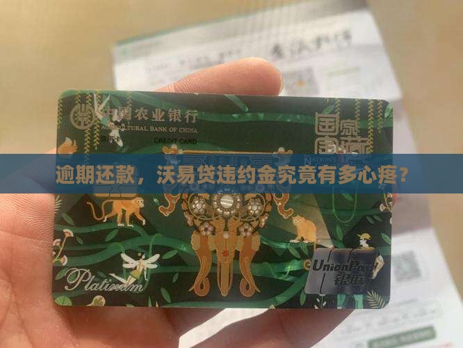 沃易贷逾期还款违约金是多少