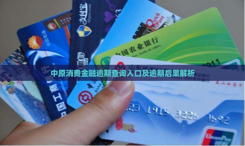 中原消费金融逾期查询入口 中原消费金融逾期查询入口