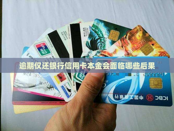欠银行信用卡只还本金会有什么后果