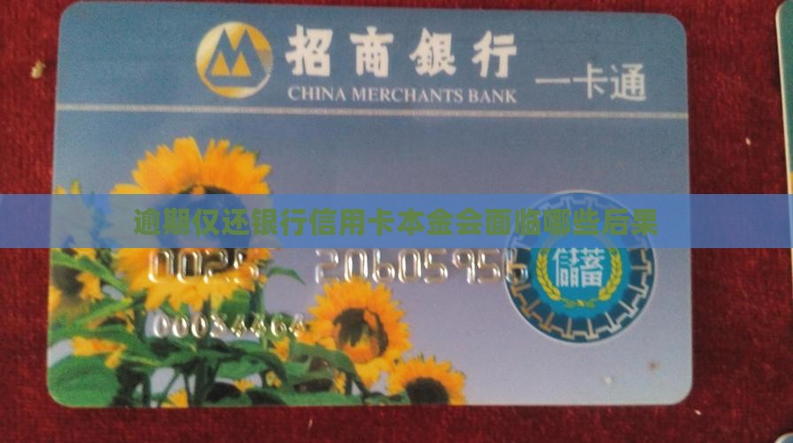 欠银行信用卡只还本金会有什么后果