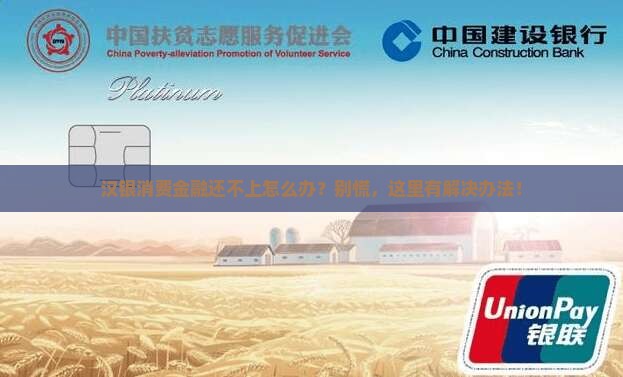 汉银消费金融无法偿还怎么办
