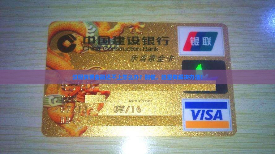 汉银消费金融无法偿还怎么办