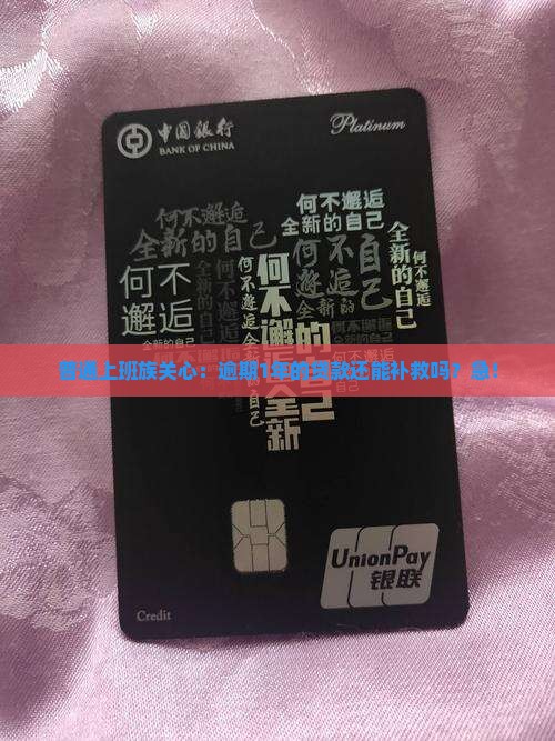 博民快易贷逾期1年需要怎么处理