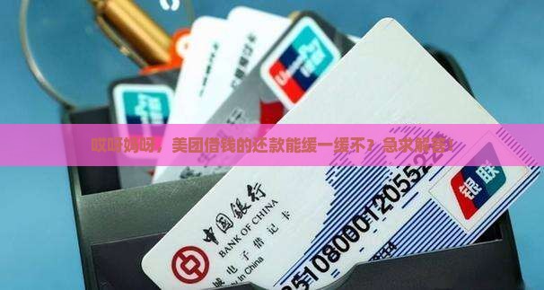 美团借钱还款是否可以延期