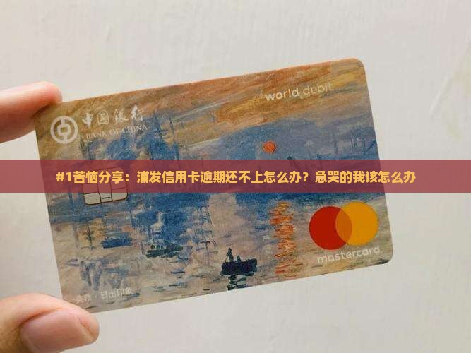 浦发信用卡逾期无力偿还应该怎么处理