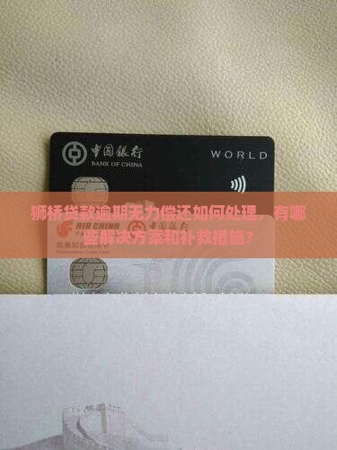 狮桥贷款无力偿还怎么办