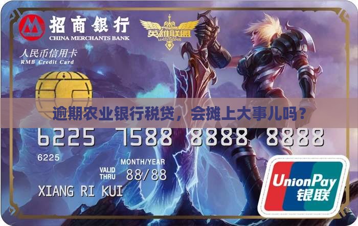 农业银行税贷逾期后果严重吗