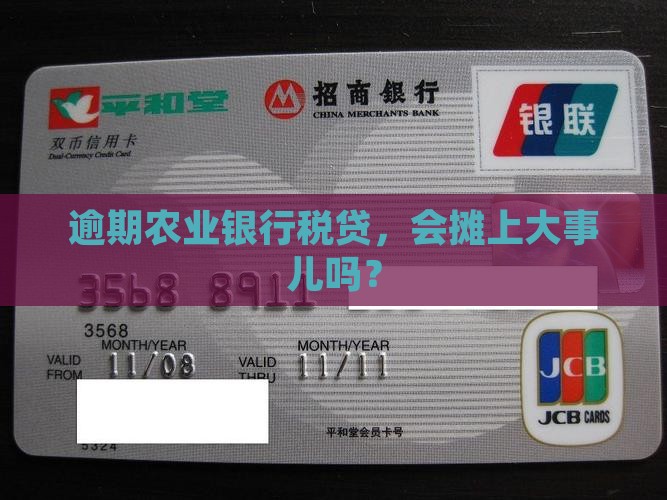 农业银行税贷逾期后果严重吗