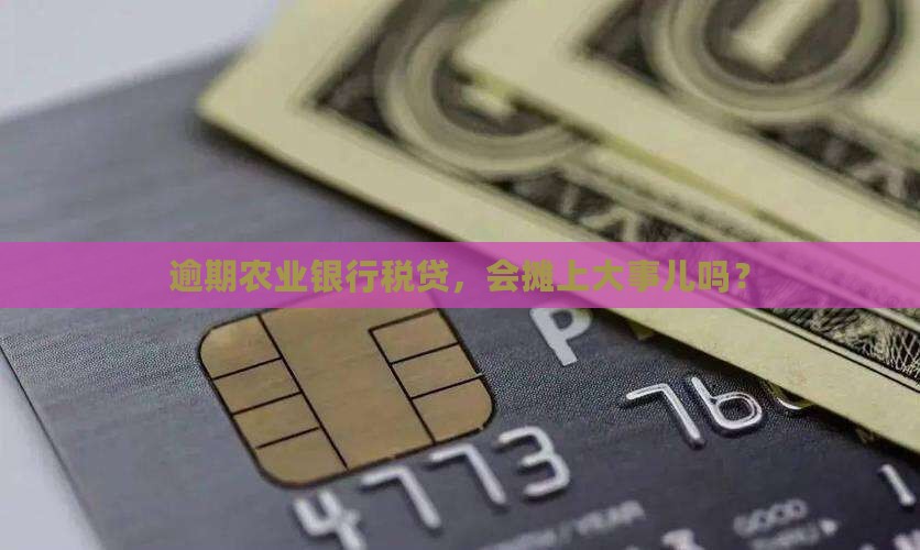 农业银行税贷逾期后果严重吗