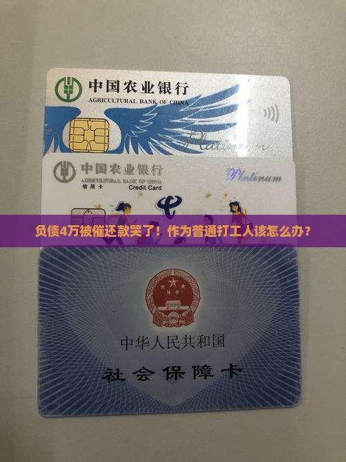 分期借款逾期四万元怎么办