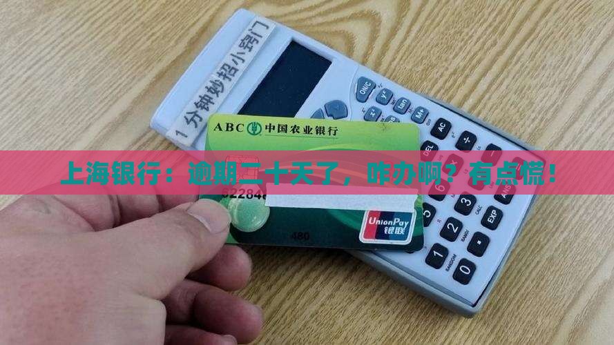 上海银行逾期二十天