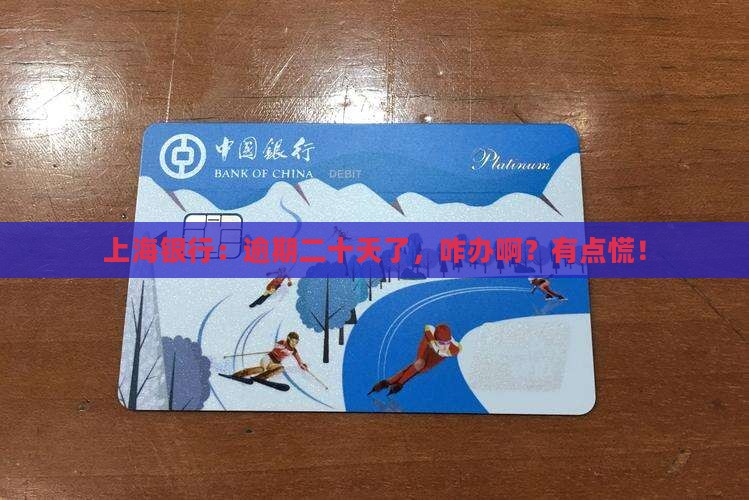 上海银行逾期二十天