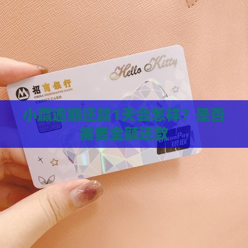 小赢逾期还款1天会怎样