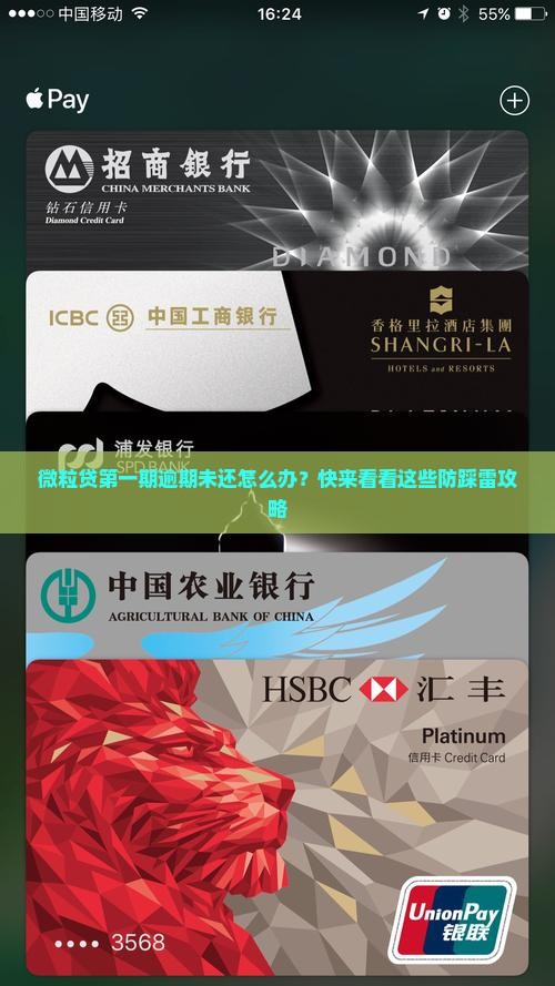 微粒贷第一期逾期未还怎么处理