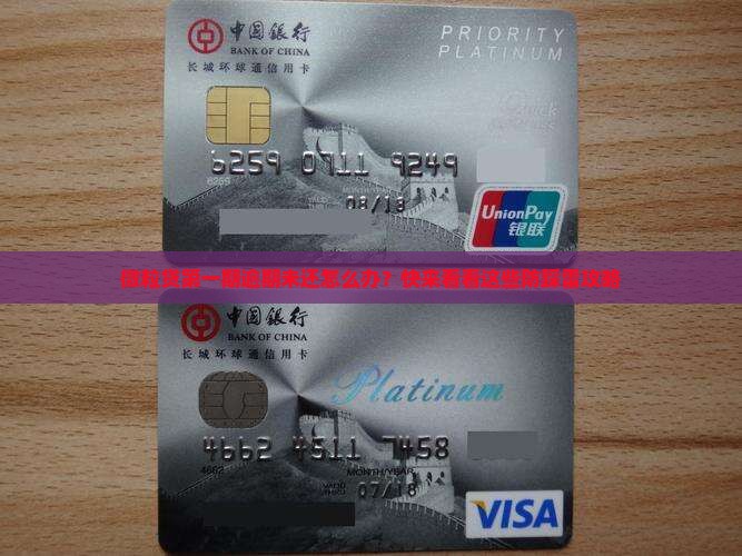 微粒贷第一期逾期未还怎么处理