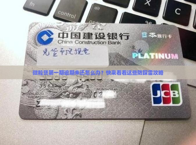 微粒贷第一期逾期未还怎么处理